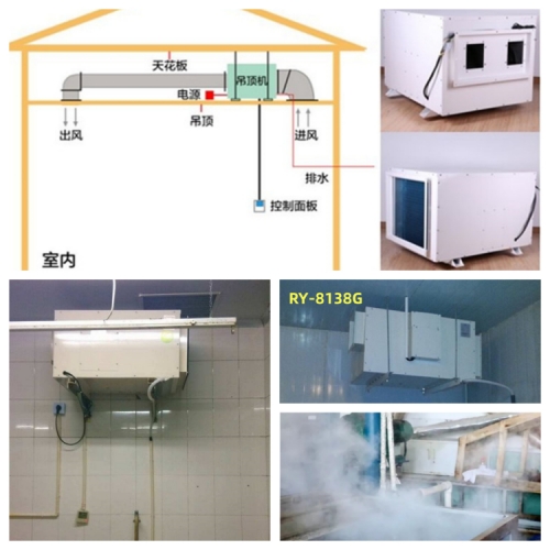 日業(yè)-蒸汽去除機500.jpg